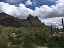 photo thumbnail #1