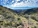 photo thumbnail #10