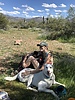 photo thumbnail #4