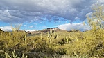 photo thumbnail #8