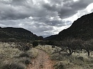 photo thumbnail #1