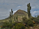 photo thumbnail #9