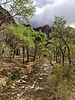 photo thumbnail #4