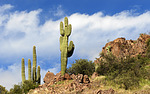 photo thumbnail #14