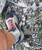 photo thumbnail #5