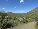 photo thumbnail #10