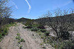 photo thumbnail #5