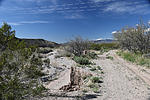 photo thumbnail #6