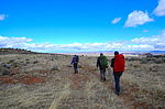 photo thumbnail #6