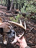 photo thumbnail #5