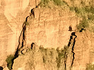 photo thumbnail #15