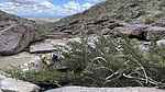photo thumbnail #6