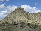 photo thumbnail #5