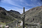 photo thumbnail #11
