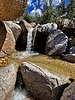 photo thumbnail #8