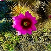 photo thumbnail #14