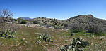 photo thumbnail #10