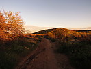 photo thumbnail #1