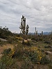 photo thumbnail #10