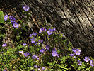 Featured Full Photo