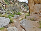 photo thumbnail #9