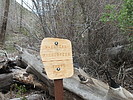 photo thumbnail #13