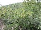 photo thumbnail #15