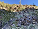 photo thumbnail #9