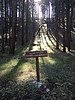 photo thumbnail #3