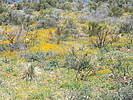 photo thumbnail #13