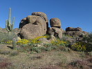 photo thumbnail #9
