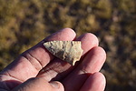 photo thumbnail #7