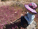 photo thumbnail #5