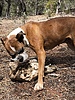 photo thumbnail #9