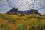 photo thumbnail #13