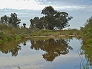 photo thumbnail #15