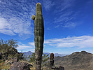 photo thumbnail #3