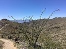 photo thumbnail #3