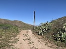 photo thumbnail #7