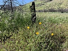 photo thumbnail #9