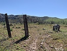 photo thumbnail #13