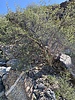 photo thumbnail #13