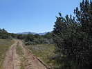 photo thumbnail #12