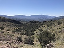 photo thumbnail #7