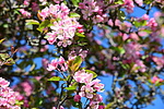 photo thumbnail #15