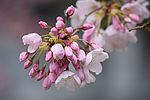 photo thumbnail #15