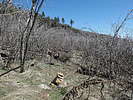 photo thumbnail #8