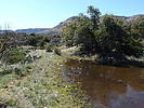 photo thumbnail #15