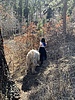 photo thumbnail #1
