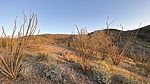 photo thumbnail #2